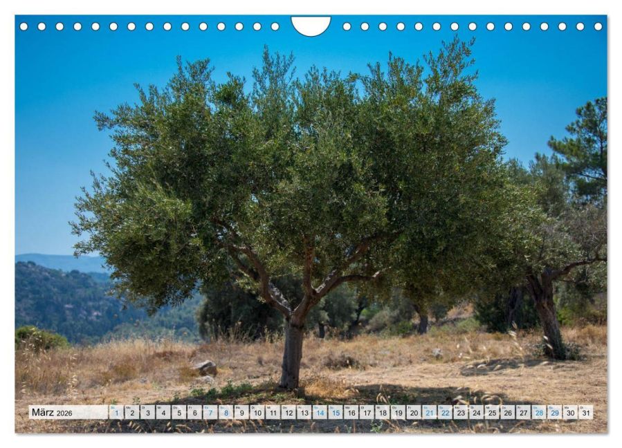 InsideView 8