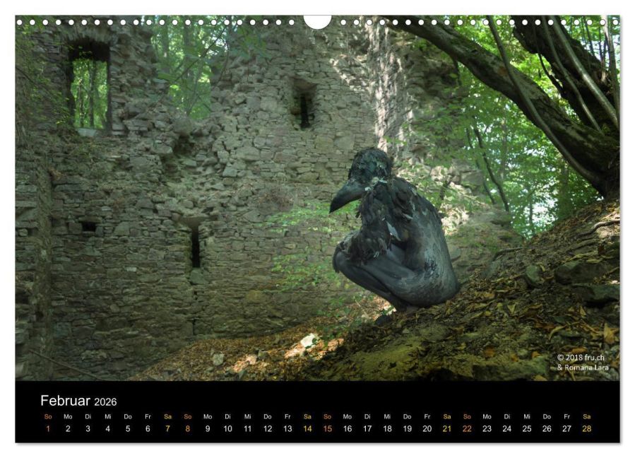 InsideView 7