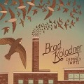 Cover-Bild zum Titel 'Chimney Swifts' von 'Brad Kolodner'