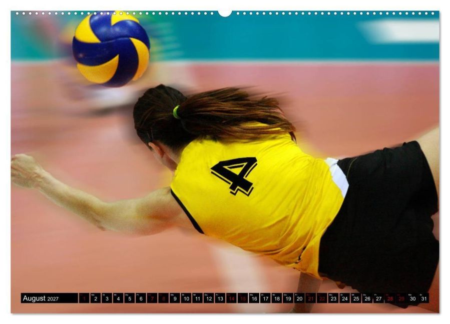 InsideView 13
