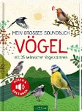 Cover-Bild zum Titel 'Mein großes Soundbuch Vögel' von 'Eva Wagner'