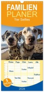 Familienplaner 2026 - Tier Selfies mit 5 Spalten (Wandkalender, 21 x 45 cm) CALVENDO - 