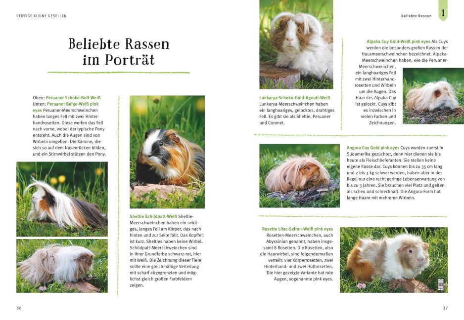 InsideView 4