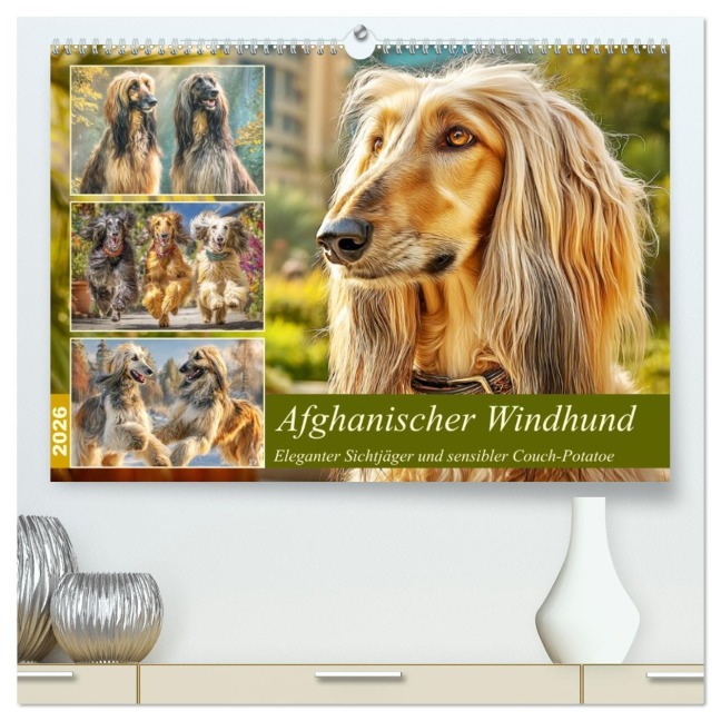 Afghanischer Windhund. Eleganter Sichtjäger und sensibler Couch-Potatoe (hochwertiger Premium Wandkalender 2026 DIN A2 quer), Kunstdruck in Hochglanz - Rose Hurley