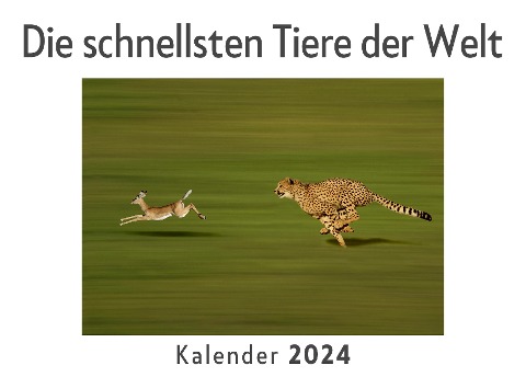 Die schnellsten Tiere der Welt (Wandkalender 2024, Kalender DIN A4 quer, Monatskalender im Querformat mit Kalendarium, Das perfekte Geschenk) - Anna Müller