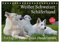 Weißer Schweizer Schäferhund - Ein Tag im Leben einer Hundefamilie (Tischkalender 2025 DIN A5 quer), CALVENDO Monatskalender - Sigrid Starick