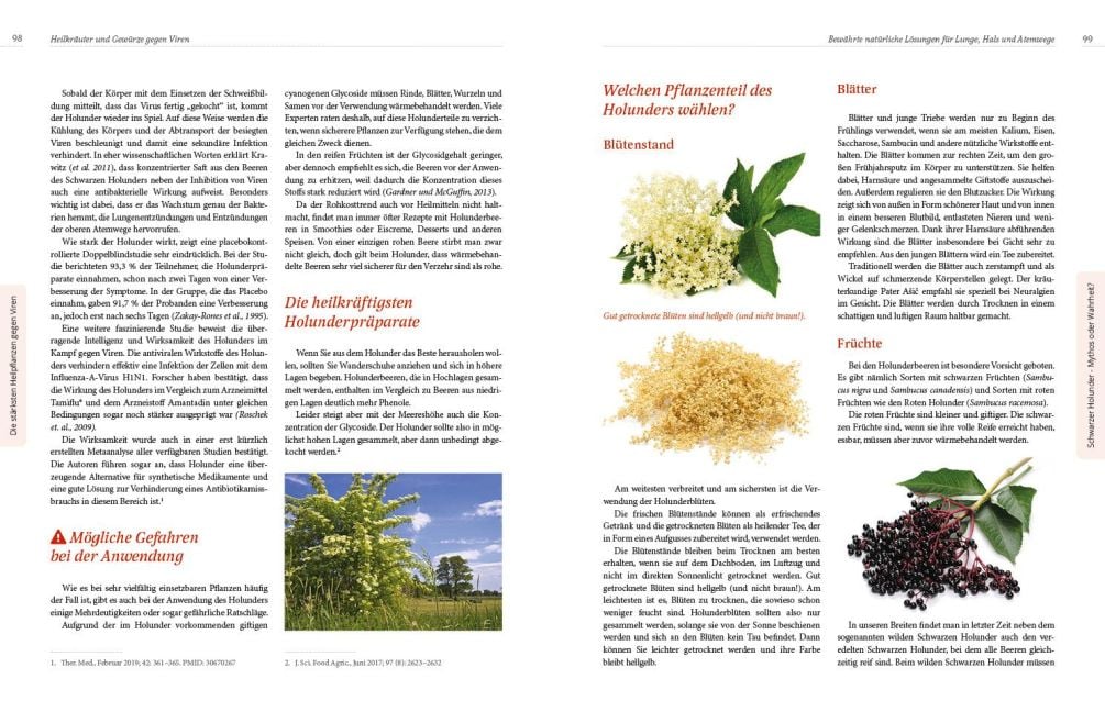 InsideView 15