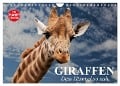 Giraffen. Dem Himmel so nah (Wandkalender 2024 DIN A4 quer), CALVENDO Monatskalender - Elisabeth Stanzer