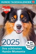 Hunde Tageskalender 2025 - 