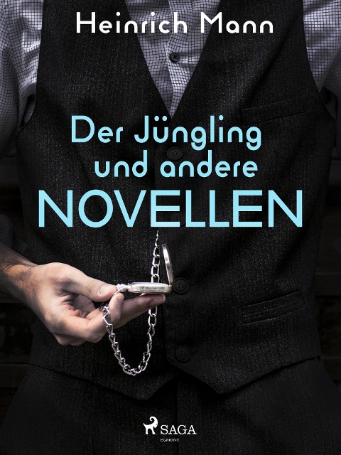 Der Jüngling und andere Novellen - Heinrich Mann
