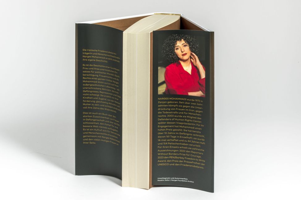 InsideView 3