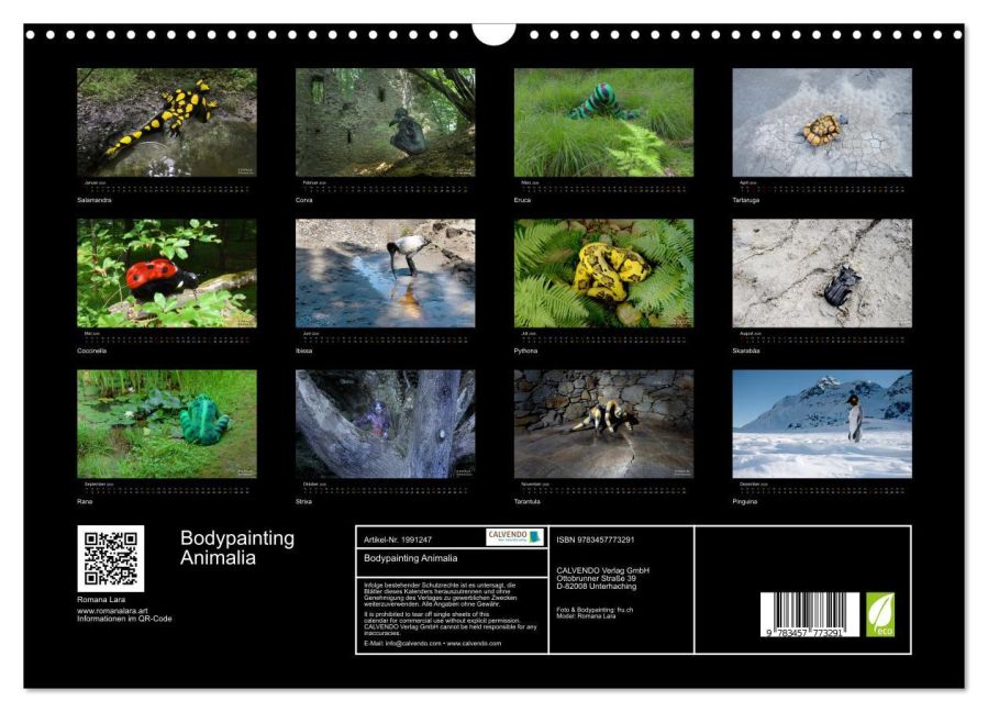 InsideView 5