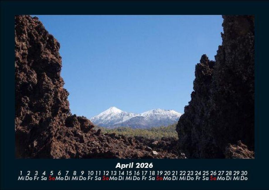 InsideView 8