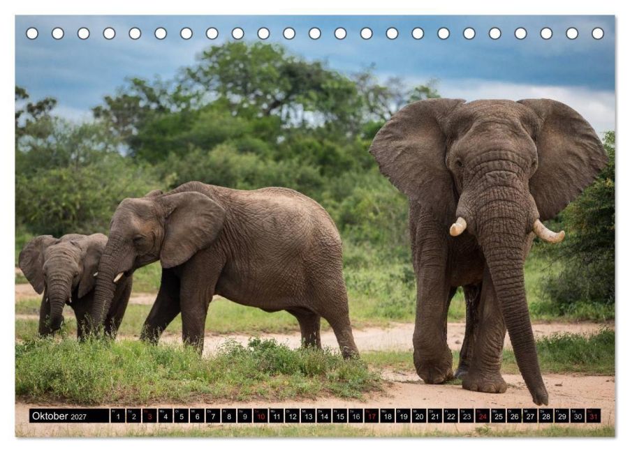 InsideView 2