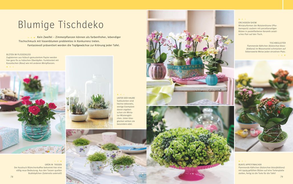 InsideView 4