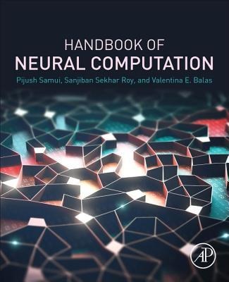 Handbook of Neural Computation - 