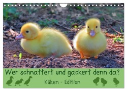 Wer schnattert und gackert denn da? - Küken-Edition (Wandkalender 2026 DIN A4 quer), CALVENDO Monatskalender - Sabine Löwer