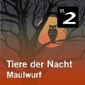 Cover-Bild zum Titel 'Tiere der Nacht: Maulwurf' von 'Silke Wolfrum'