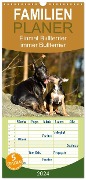 Familienplaner 2024 - Einmal Bullterrier - immer Bullterrier mit 5 Spalten (Wandkalender, 21 x 45 cm) CALVENDO - Yvonne Janetzek