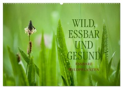 Cover-Bild zum Titel 'WILD, ESSBAR UND GESUND Essbare Wildpflanzen (Wandkalender 2026 DIN A2 quer), CALVENDO Monatskalender' von 'Markus Wuchenauer - Pixelrohkost'