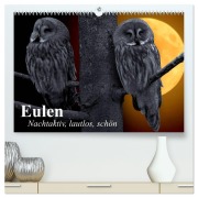 Cover-Bild zum Titel 'Eulen. Nachtaktiv, lautlos, schön (hochwertiger Premium Wandkalender 2026 DIN A2 quer), Kunstdruck in Hochglanz' von 'Elisabeth Stanzer'