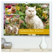 Selkirk Rex Katzen. Lockenzauber im Blumengarten (hochwertiger Premium Wandkalender 2026 DIN A2 quer), Kunstdruck in Hochglanz - Rose Hurley