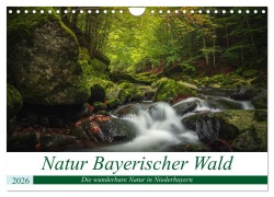 Cover-Bild zum Titel 'Natur Bayerischer Wald (Wandkalender 2026 DIN A4 quer), CALVENDO Monatskalender' von 'Fotografie Thilo Wagner'