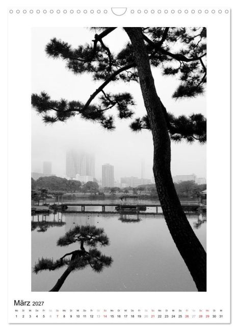 InsideView 8