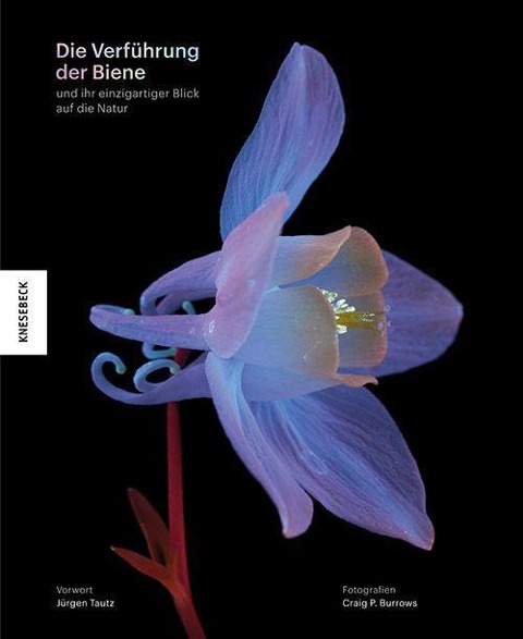 Die Verführung der Biene - Craig P. Burrows