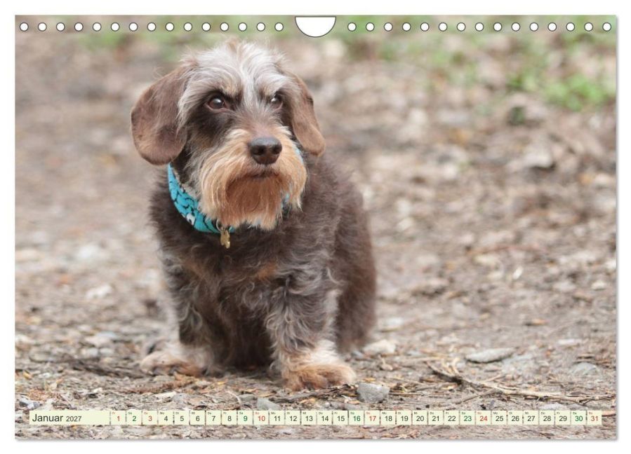 InsideView 6