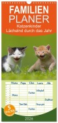 Cover-Bild zum Titel 'Familienplaner 2026 - Lächelnd durchs Jahr - Katzenkinder -Familienplaner hoch mit 5 Spalten (Wandkalender, 21 x 45 cm) CALVENDO' von 'Susanne Danegger'