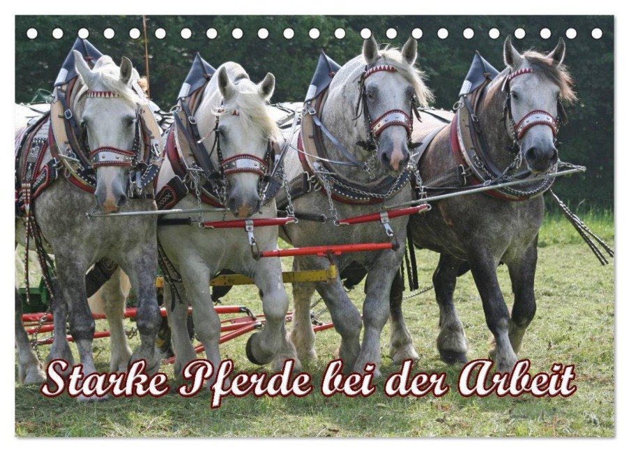 Starke Pferde bei der Arbeit (Tischkalender 2026 DIN A5 quer), CALVENDO Monatskalender - Antje Lindert-Rottke