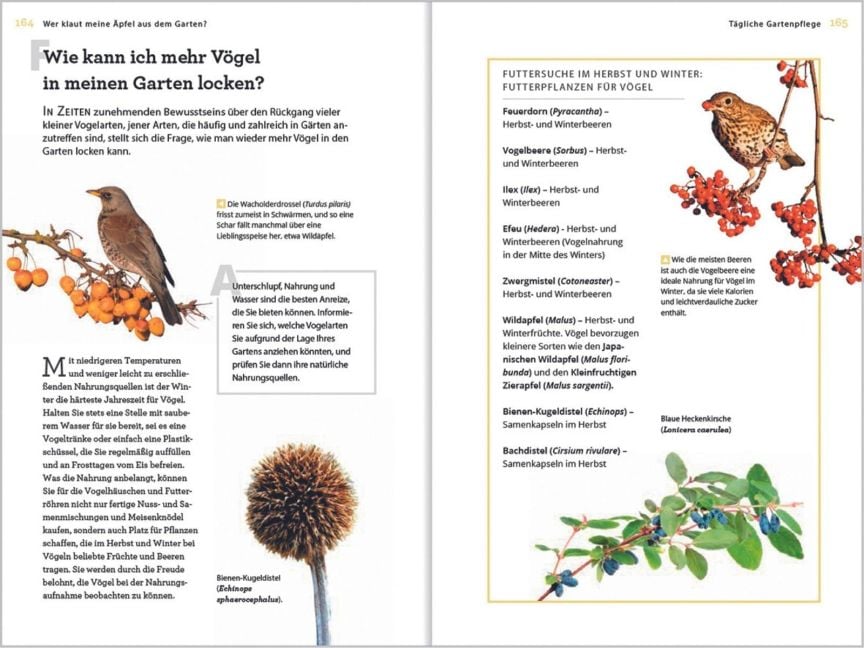 InsideView 11