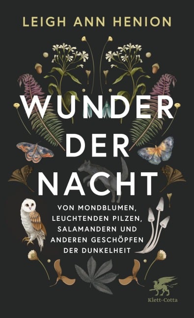 Wunder der Nacht - Leigh Ann Henion
