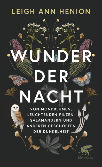 Wunder der Nacht - Leigh Ann Henion