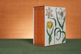 Cover-Bild zum Titel 'Basilius Besler. The Garden at Eichstätt' von 'Klaus Walter Littger, Werner Dressendörfer'