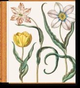 Cover-Bild zum Titel 'Basilius Besler. The Garden at Eichstätt' von 'Klaus Walter Littger, Werner Dressendörfer'