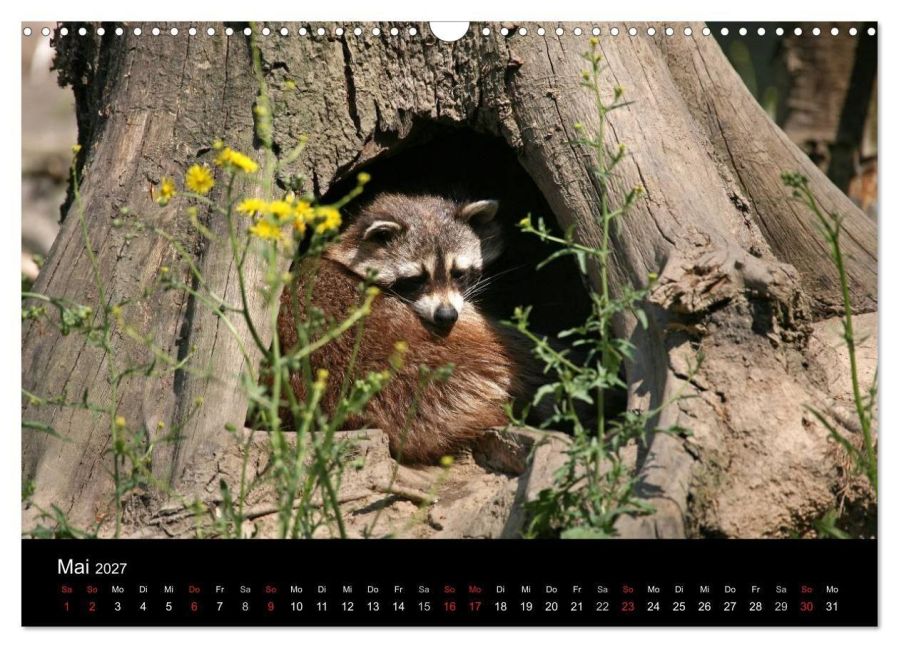 InsideView 10