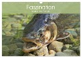 Faszination Angeln und Fischen (Wandkalender 2024 DIN A3 quer), CALVENDO Monatskalender - Elisabeth Stanzer