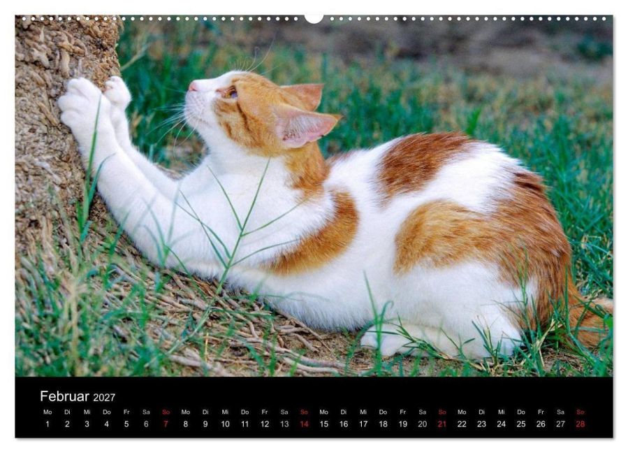InsideView 7