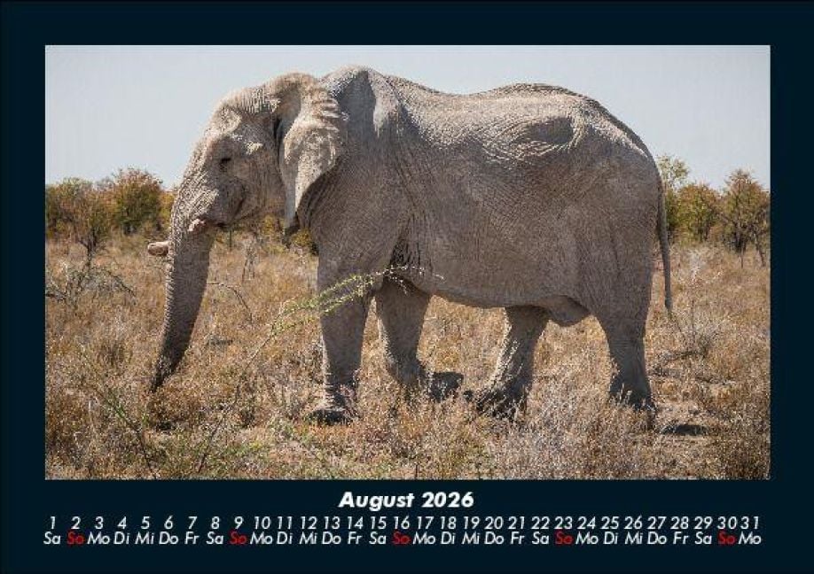 InsideView 12