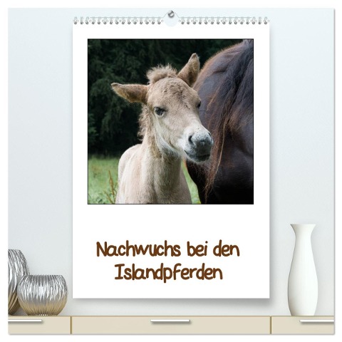 Nachwuchs bei den Islandpferden (hochwertiger Premium Wandkalender 2025 DIN A2 hoch), Kunstdruck in Hochglanz - Angelika Beuck