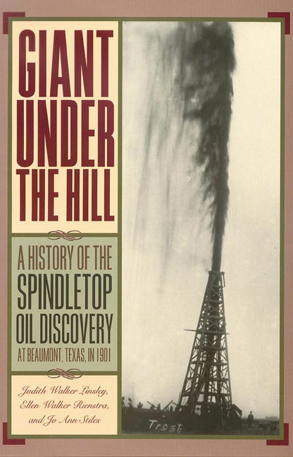Giant Under the Hill - Jo Stiles, Judith Walker Linsley, Ellen Walker Rienstra