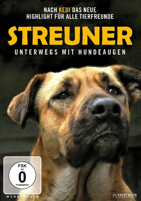 Streuner - Unterwegs mit Hundeaugen - Elizabeth Lo