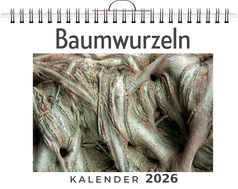 Baumwurzeln - Linus Fischer