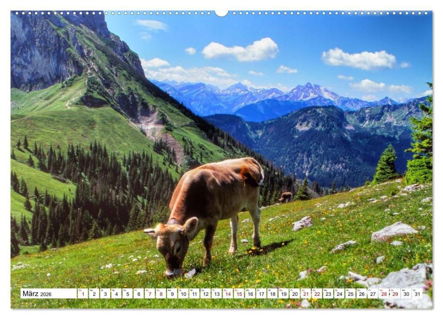 InsideView 7