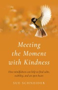 Cover-Bild zum Titel 'Meeting the Moment with Kindness' von 'Sue Schneider'