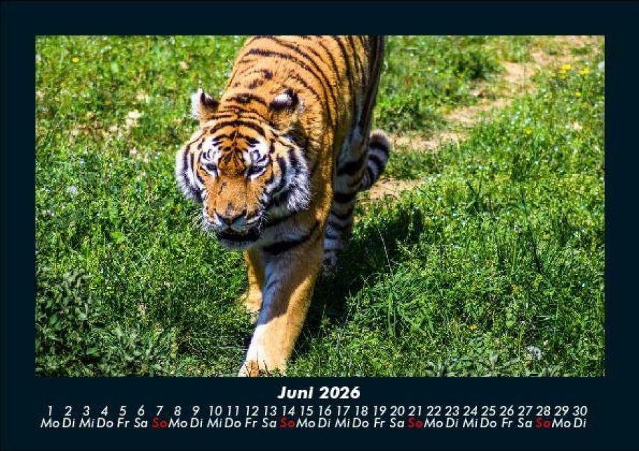 InsideView 10
