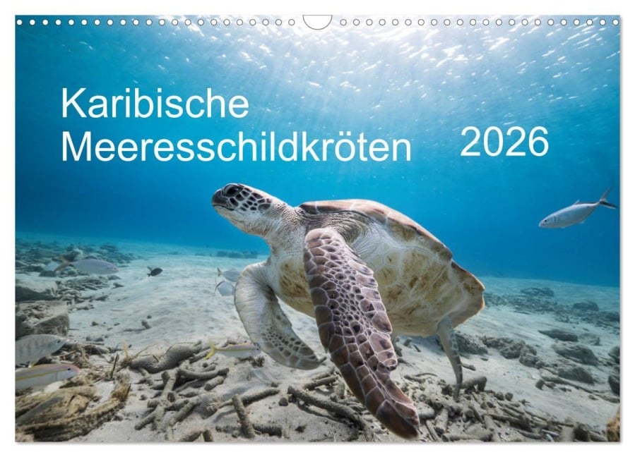 Karibische Meeresschildkröten (Wandkalender 2026 DIN A3 quer), CALVENDO Monatskalender - Yvonne Tilo Kühnast - naturepics