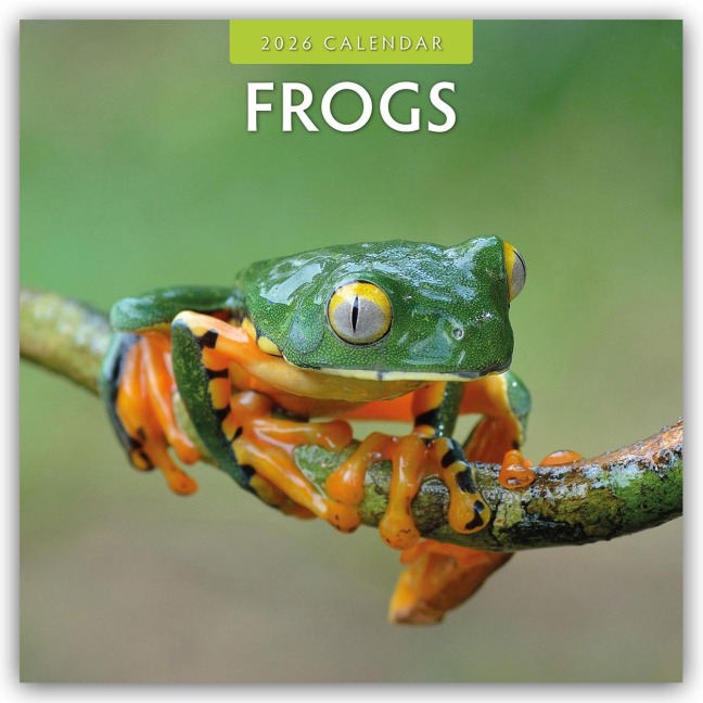 Frogs - Frosch - Frösche 2026 - 16-Monatskalender - Robin Red